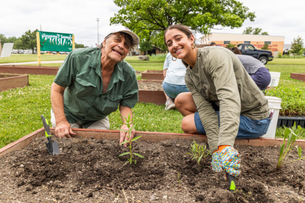 A volunteer and Township of Lyons intern smile while planting seedlings in a raised community garden bed.